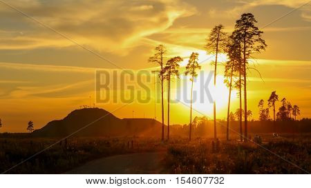 Orange sunset on the mountain on a background of trees