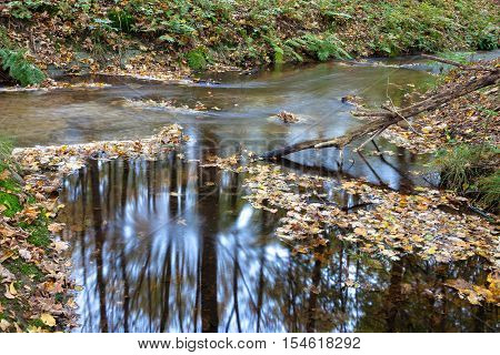 flowing water in stream long shutter Dutch autumn forest Voorsterbos Waterloopbos