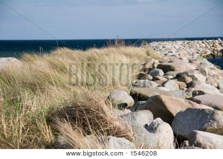 Dune e pietre