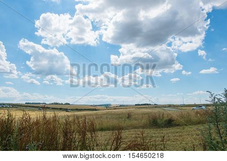 Grass Field With Blue Sky. Rural Landscape