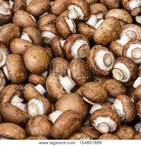 Mushrooms champignon, fresh vegetarian food ingridients background