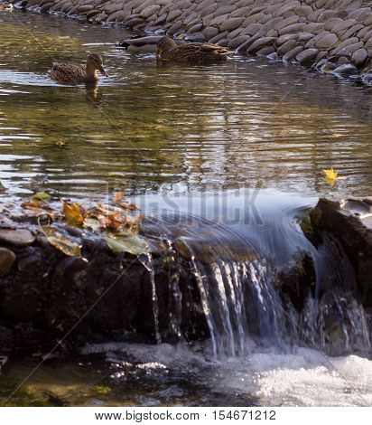 autumn a very beautiful timea fairytale time of yearthe street is very beautifulnature is transformed