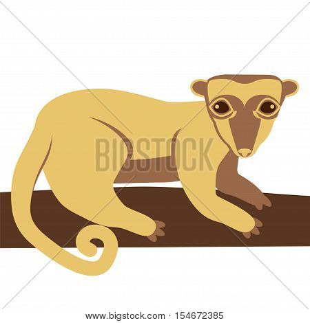Kinkajou honey bear. Vector stock illustration of a small mammal animal on a tree branch.