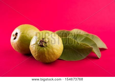Guava fruit or Amrood or Amrud or peru isolated, selective focus