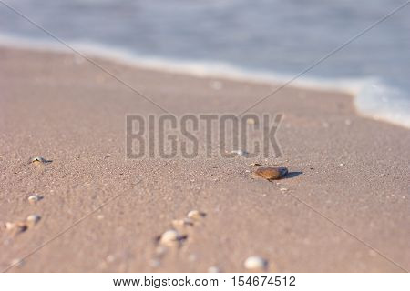 Seastone on a sandy beach in the background waves. Sea foam