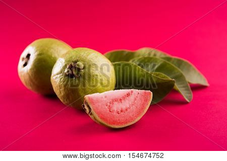 Guava fruit or Amrood or Amrud or peru isolated, selective focus