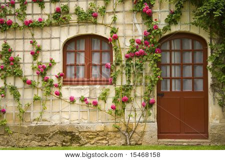 hus med blommor