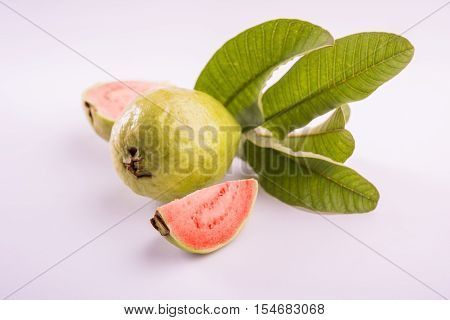 Guava fruit or Amrood or Amrud or peru isolated, selective focus