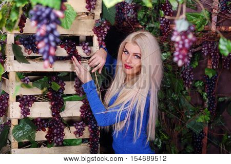 Blonde woman in blue dress poses among grape vines in studio