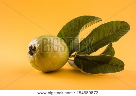 Guava fruit or Amrood or Amrud or peru isolated, selective focus