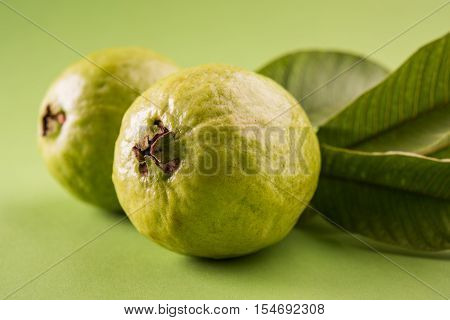 Guava fruit or Amrood or Amrud or peru isolated, selective focus