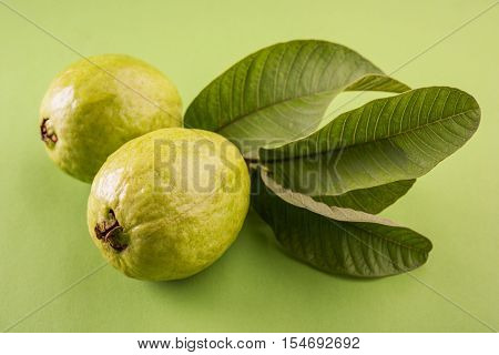 Guava fruit or Amrood or Amrud or peru isolated, selective focus