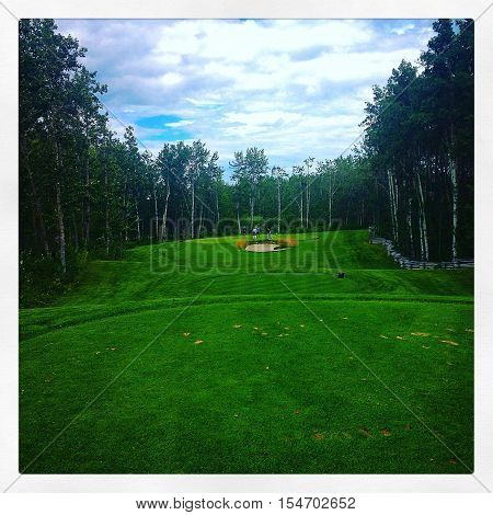 Golf course.  Green fairway and tall trees with clouds an blue sky background.