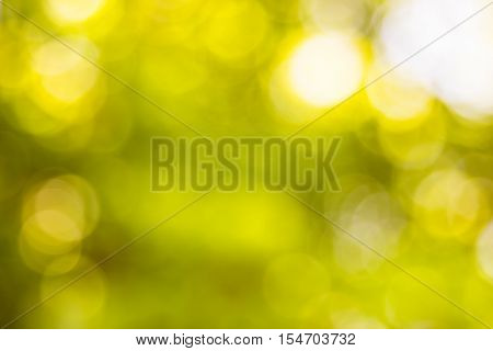 Blurred nature background.Backdrop with color and bright sun light. Summer holidays concept.bokeh background or Christmas background.Green Energy.