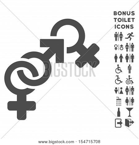 Faith Breach icon and bonus male and female WC symbols. Vector illustration style is flat iconic symbols, gray color, white background.