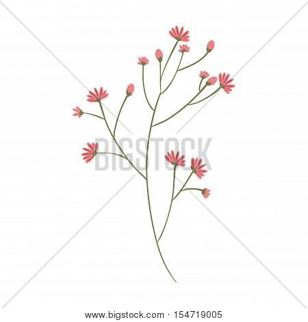 plant with ramifications and flowers vector illustration