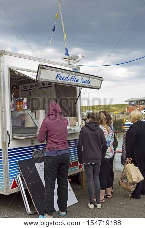 Tourists buying seals food in Eyemouth in Scotland. 07.08.2015