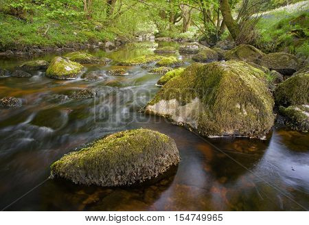 Creek in Ireland, water flows gentle in green, fertile environment