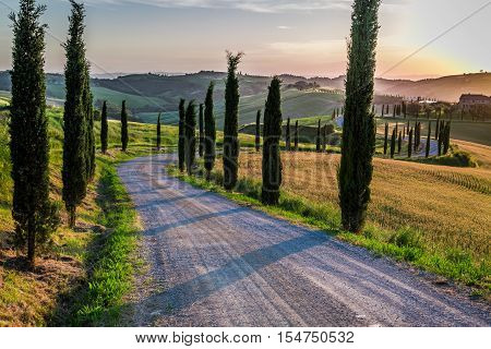 Sunset and winding road with cypresses in Tuscany