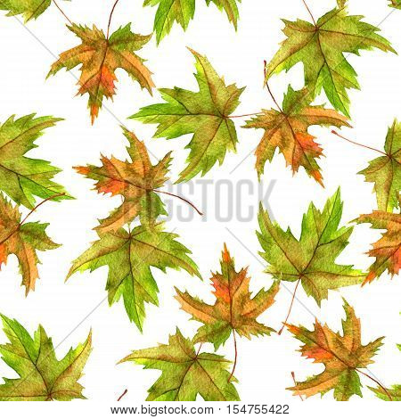 seamless patttern with realistic watercolor autumn leaves of maple tree, hand drawn nature background, floral ornament
