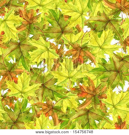 seamless patttern with realistic watercolor autumn leaves of maple tree, hand drawn nature background, floral ornament