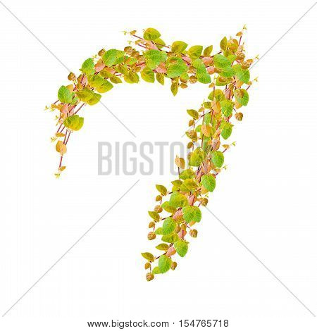 Number 7 alphabet of green leaves on white