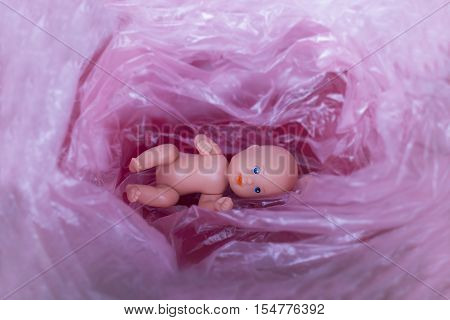 The embryo in the uterus of the mother. Inside view