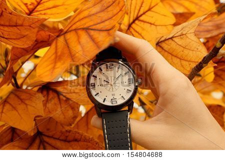 Autumn Leaves and Alarm Clock isolated .