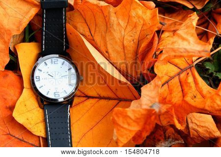 Autumn come with Clock isolated on ground