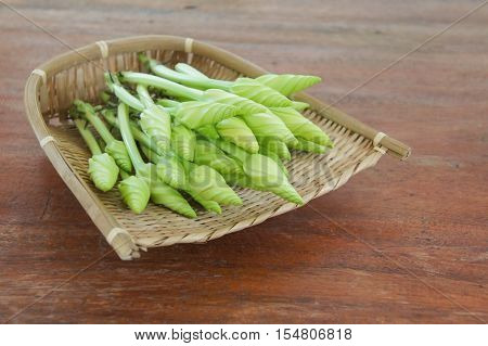 Moonflower on the Wicker baskets with clear light.
