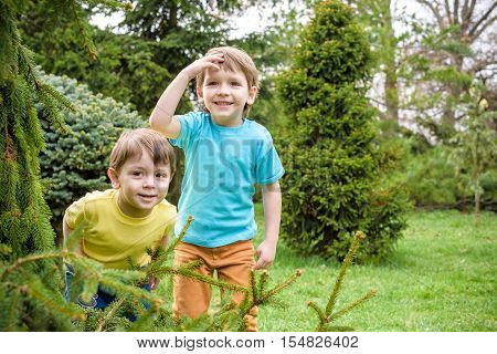 Two little caucasian brother boys playing outdoor in the park near trees on summer or spring. Surprised happy smiling faces. Selective focus on boy