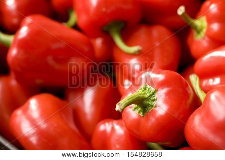 Background of fresh colorful bell peppers. Top view