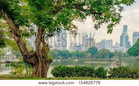 View of Bangkok skyline from Lumphini Park Thailand. Business district cityscape from a park with cloudy sky in the evening