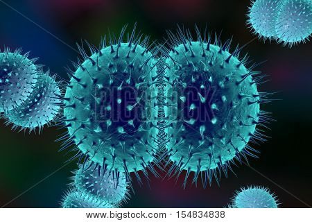 Bacteria Neisseria gonorrhoeae or Neisseria meningitidis, gonococcus and meningococcus, 3D illustration. Bacteria which cause gonorrhoeae. Bacteria which cause meningitis