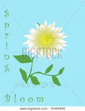 Ilustração de flor Dalia