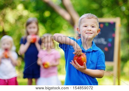 Adorable Little Boy Is Going Back To School
