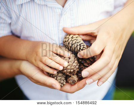 Closeup macro shot image of child with mother parent holding a bunch of pine cones toned with Closeup macro shot image of child with mother parent holding a bunch of pine cones toned with filters retro vintage style film effect selective focus shallow dep