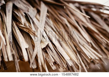Dry yellow beige brown autumn fall thatch hay straw texture background wallpaper part of thatch attap roof closeup macro image shot