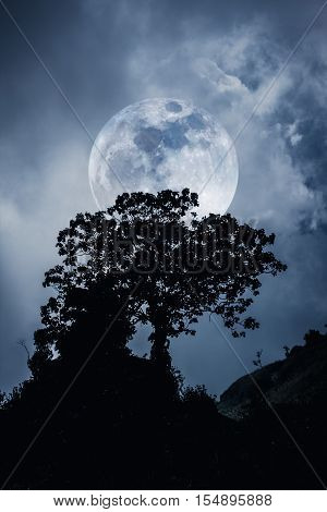 Silhouettes Of Tree Against Sky Over Tranquil Sea. Black And White Tone Effect.