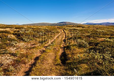 sunny landscape Norway mountains Dovrefjell 