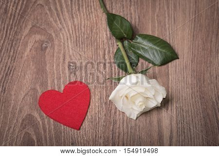 Soft Photo Of A White Rose On Wooden Background
