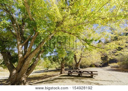 Fall Color Of Valyermo