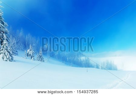 Beautiful mountain snowy landscape and snow covered trees and snowy paths in the snow. Beautiful sunny day in the mountains