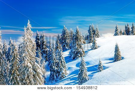 Beautiful mountain snowy landscape and snow covered trees. Beautiful sunny day in the mountains