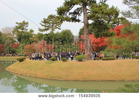 Garden Of Byodo-in Temple In Kyoto, Japan
