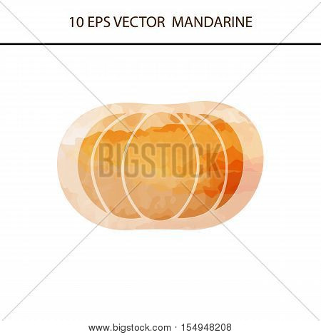 tangerine orange or mandarin flat icon for apps and websites isolated on white background