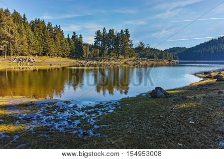 Landscape of Green forest of Shiroka polyana Reservoir, Pazardzhik Region, Bulgaria