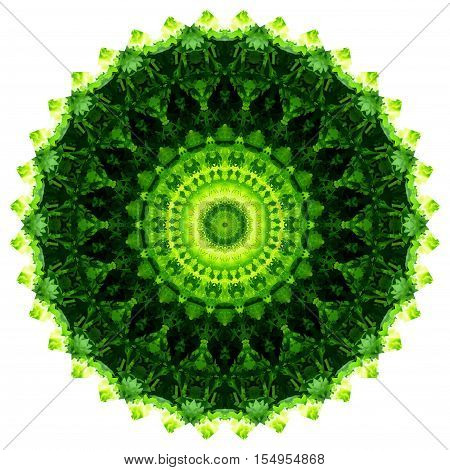 kaleidoscope Green vegetable coriander and lettuce diet food