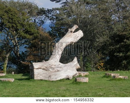 Public Picnic Area