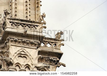 Side facade's details of Notre-Dame of Paris Cathedral